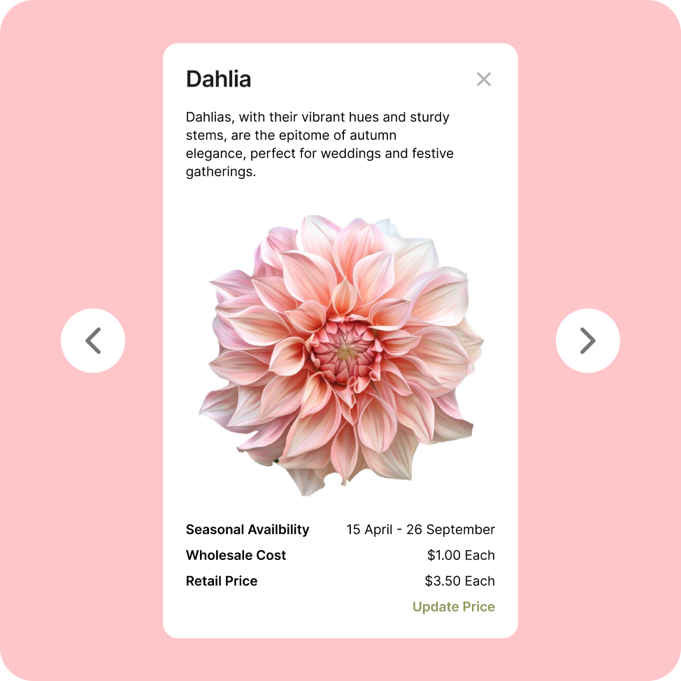 BloomVision flower information screen